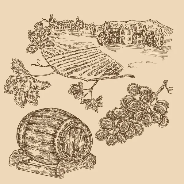 Set de vin. Vignoble dessiné à la main, tonneau de vin et raisin. Vecteur — Image vectorielle