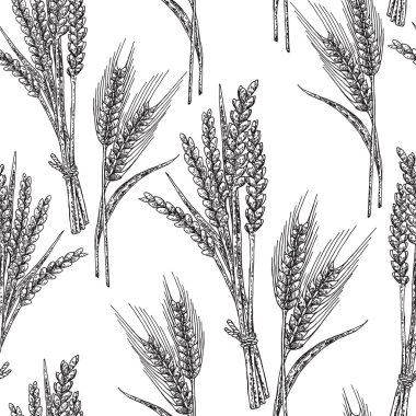 Buğday seamless modeli. Vektör çizim kroki tarzı. Bla