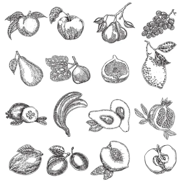 Hand drawn fruits. Vector illustration. Fruit set in sketch styl — Stock Illustration Hand drawn fruits. Vector illustration. Fruit set in sketch styl Vector Graphics
