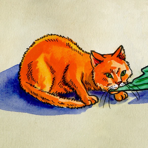 Kırmızı kedi yiyor suluboya — Stok fotoğraf
