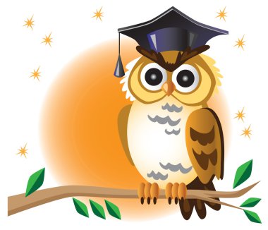 bilim adamı baykuş şube ve ay