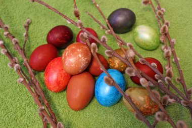 Paskalya yumurta ve willow