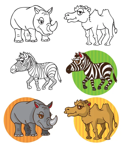 Wild animals Zebra camel rhinoceros — Stock Vector