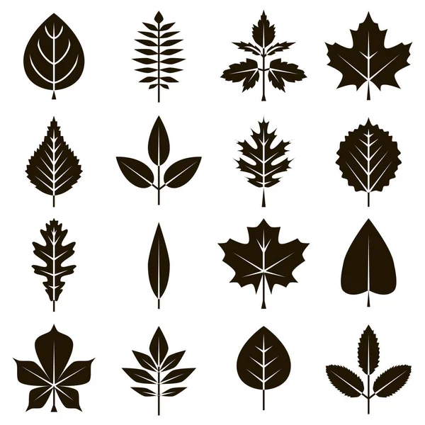 在秋天和夏天用黑色设置不同类型树叶的图标 — 图库矢量图片