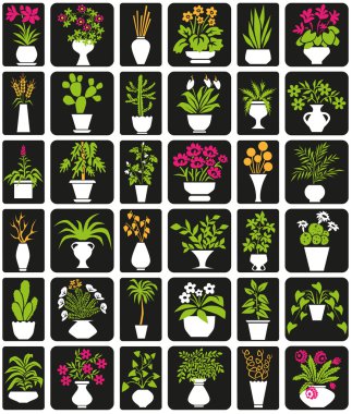 Potted plants clipart