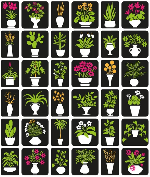 Plantas em vaso — Vetor de Stock