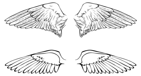 Twee vleugels — Stockvector