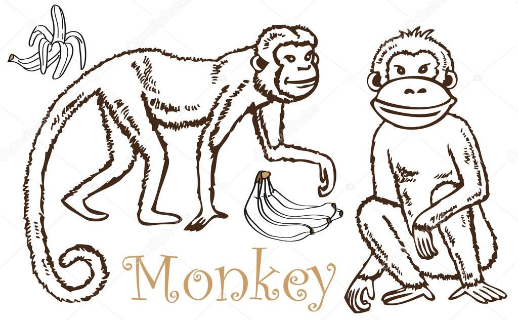Monkey and Bananas drawing