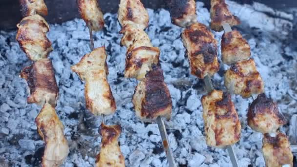 Shashlik — Stock Video