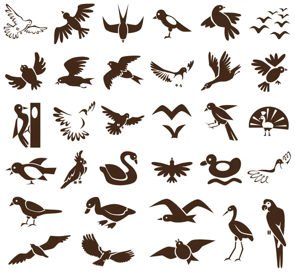 Iconos de aves en blanco — Archivo Imágenes Vectoriales