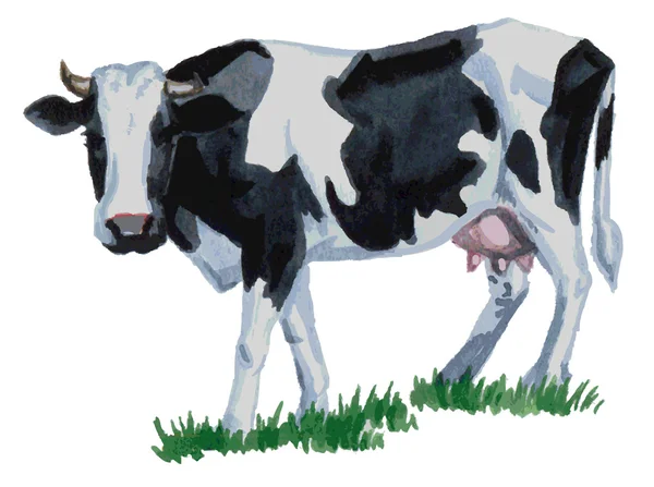 Acuarela de vaca — Vector de stock