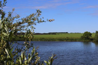 gölet ile yaz peyzaj