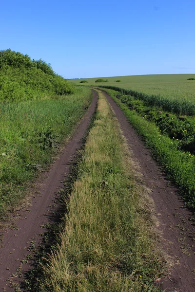 Estrada em um campo — Fotografia de Stock