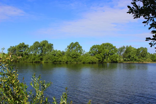 Sommaren damm — Stockfoto