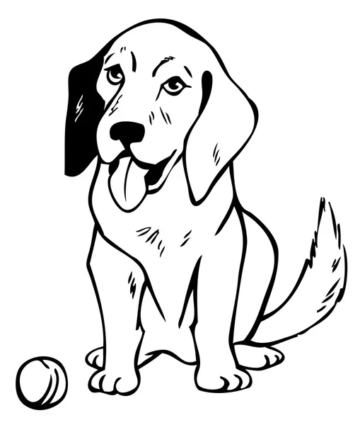 Desenho cão com bola — Vetor de Stock