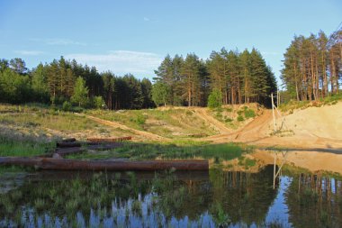 çam ormanı ile manzara