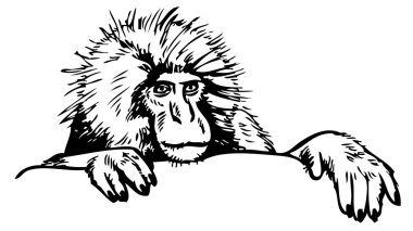 Çizim kar maymun el