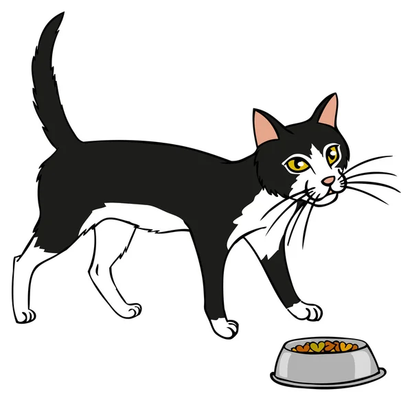 Černá a bílá kočka a krmiva — Stockový vektor