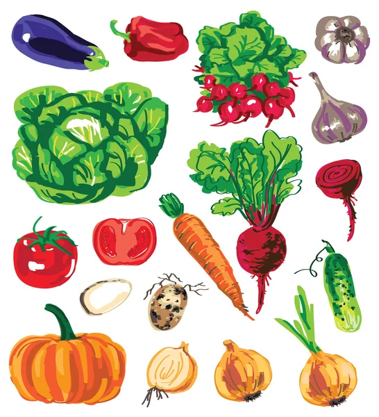 Colored vegetables on white background — Stock Vector