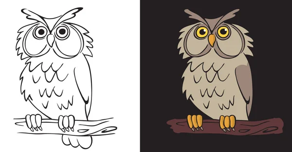 Night owl bird — Stock Vector