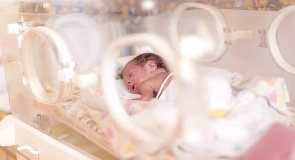 Předčasné novorozená holčička — Stock fotografie