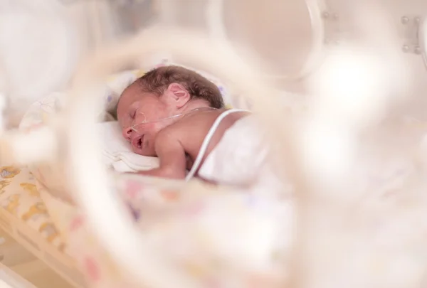 Bebé prematuro recién nacido niña — Foto de Stock