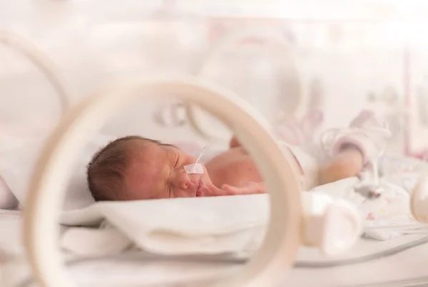 Předčasné novorozená holčička Stock Fotografie