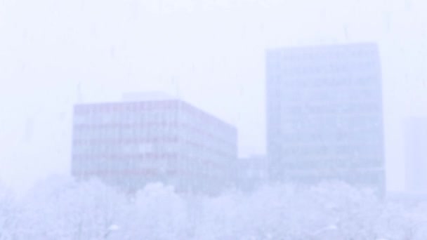 ぼやけて背景に雪が降る — ストック動画