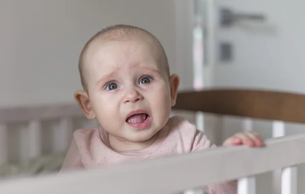 Bir bebek ilk dişler büyümek — Stok fotoğraf