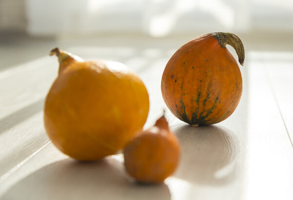 small decorative pumpkins