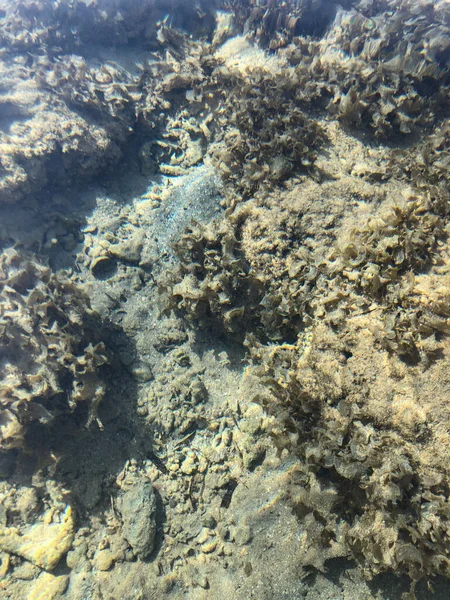 Struttura chiara dell'acqua di mare, vista dall'alto del fondo roccioso. fondo superficie dell'acqua — Foto Stock