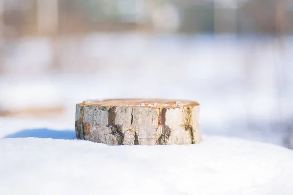 Sockel Von Einem Baumstamm Schnee Freien — Stockfoto