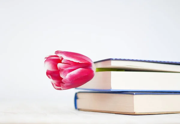 Ahşap masa zemininde çiçek yer imi olan kapalı bir kitap