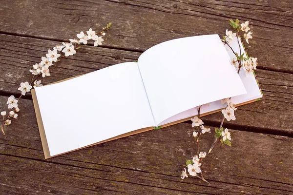 Caderno Aberto Com Páginas Branco Galhos Cereja Florescendo Uma Mesa — Fotografia de Stock