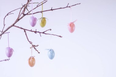 Üzerinde Paskalya yumurtaları asılı ağaç dalları. Kopya alanı ile dekorasyon şeklinde.