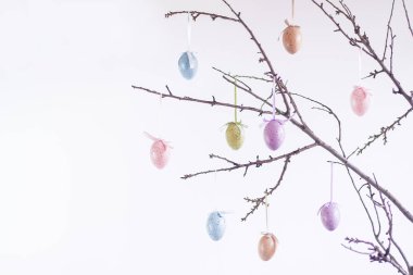 Beyaz arka planda ağaç dallarında paskalya yumurtası şeklinde dekorasyon. Paskalya arkaplanı.