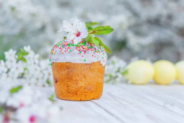 Doux Gâteau Pâques Décoré Fleurs Amandier Sur Fond Des Œufs — Photo