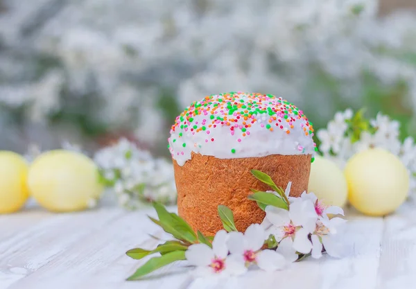 Gâteau Pâques Sucré Branche Amandier Fleurs Sur Fond Des Œufs — Photo