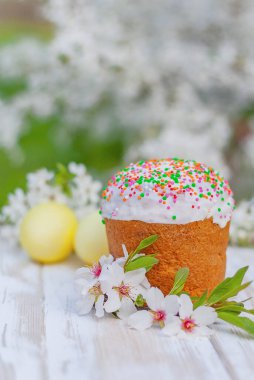 Paskalya pastası Paska, çiçek açan badem ağacı filizi ve çiçek açan bahar bahçesinde masanın üstünde paskalya yumurtası.