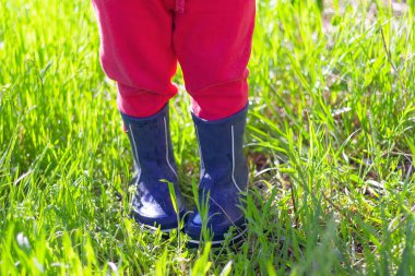 Feet of a small child in rubber boots on wet green grass on a sunny day