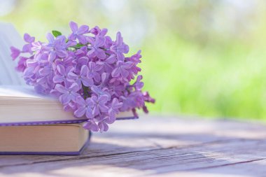 Çiçek açan leylakların filizleri bahçedeki açık bir kitabın üzerinde duruyor.