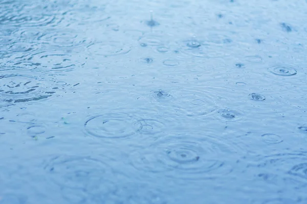 Rain drops in the water. natural water background. rainy weather concept.