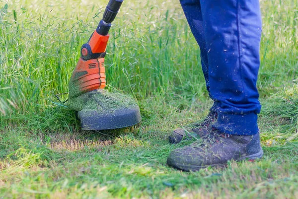 Tıraş makinesiyle çim biçiyorum. Adam bahçedeki çimleri biçiyor.
