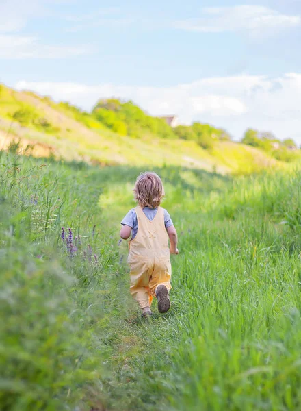 Menino Com Cabelo Loiro Corre Prado Com Flores Silvestres Vista — Fotografia de Stock