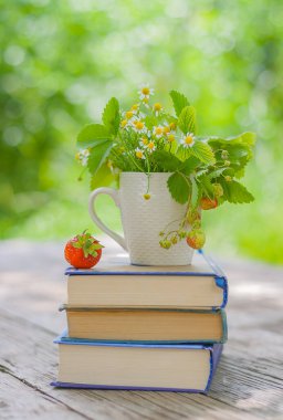 Çilek ve fincanla papatya çayı ve çilek çalısı bahçedeki ahşap bir masada kitap yığınının üzerinde.