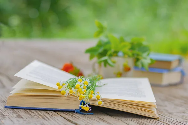 Bahçedeki eski ahşap bir masanın sayfalarında bir buket yaban papatyası olan açık bir kitap.
