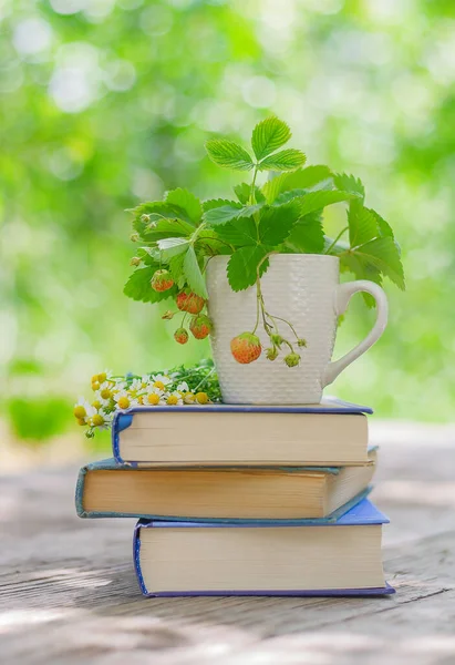 Arbusto Morango Uma Xícara Branca Buquê Margaridas Uma Pilha Livros — Fotografia de Stock
