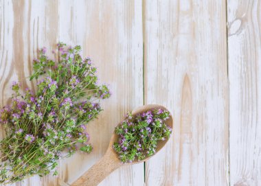 Tahta bir kaşıkta kekik buketinin yanında beyaz ahşap bir arka planda kekik. Baharatlar, baharatlar, şifalı bitkiler..