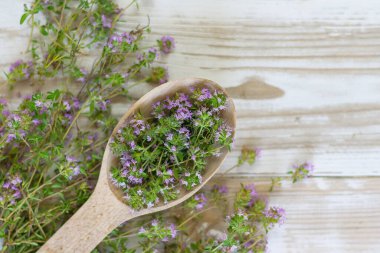 Tahta bir kaşığı yakın plan beyaz tahta bir masanın üzerinde çiçek açan kekik ile. Baharatlar, baharatlar, şifalı bitkiler..