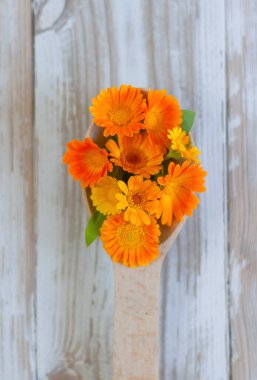 Beyaz ahşap masa manzaralı, takvim çiçekli ahşap kaşık. Doğal kozmetik ürünleri, aromaterapi, homeopati, şifalı bitkiler.